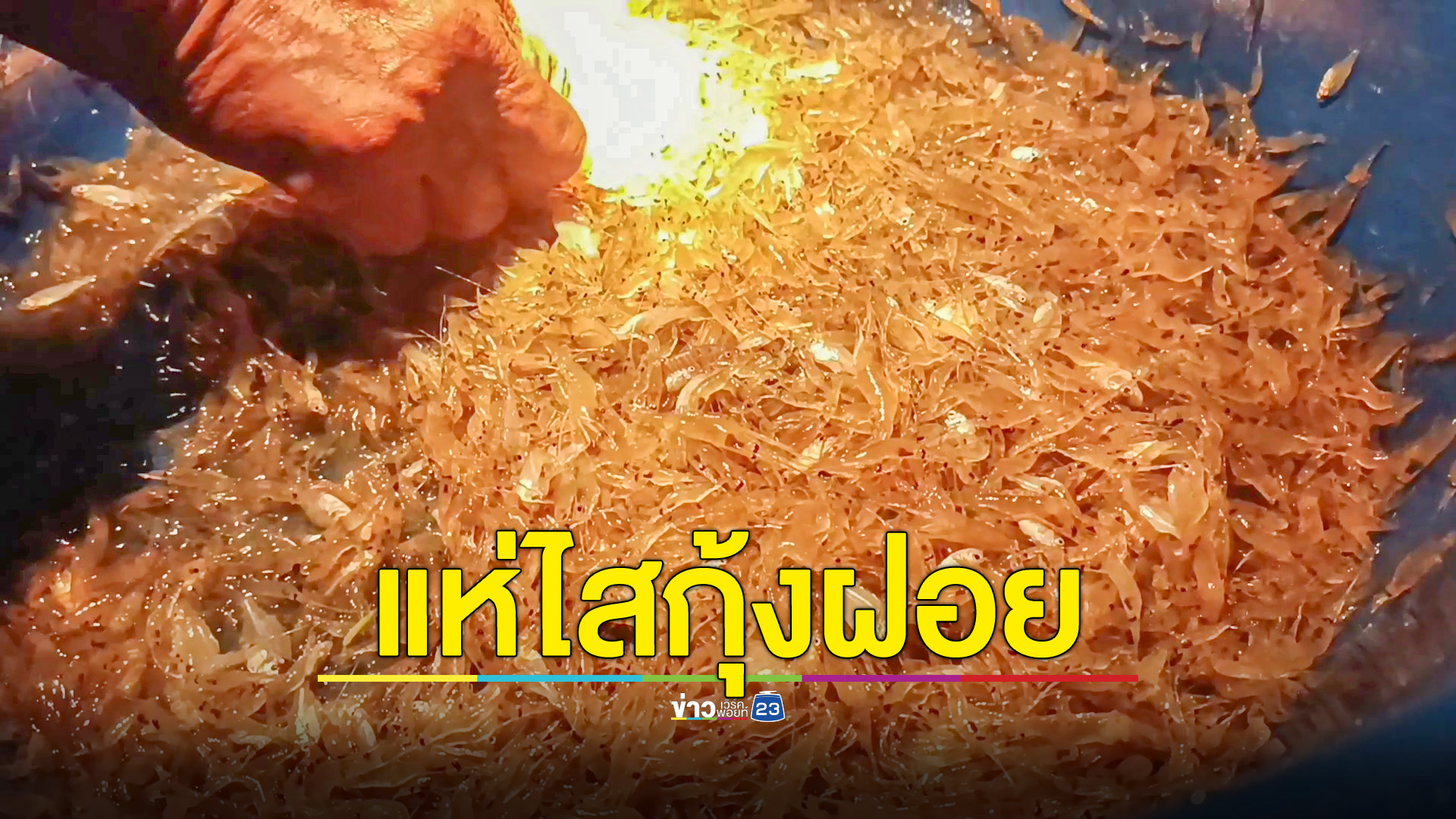 แห่ไสกุ้งฝอยเขื่อนลำแชะช่วงน้ำขึ้น สร้างรายได้หลักพันต่อวัน