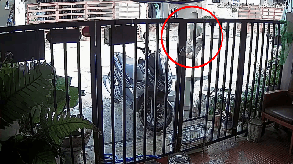 ชายคลั่งปืนยิงเมียเจ็บ ยิงปืนขู่-ขังตัวเองในบ้าน