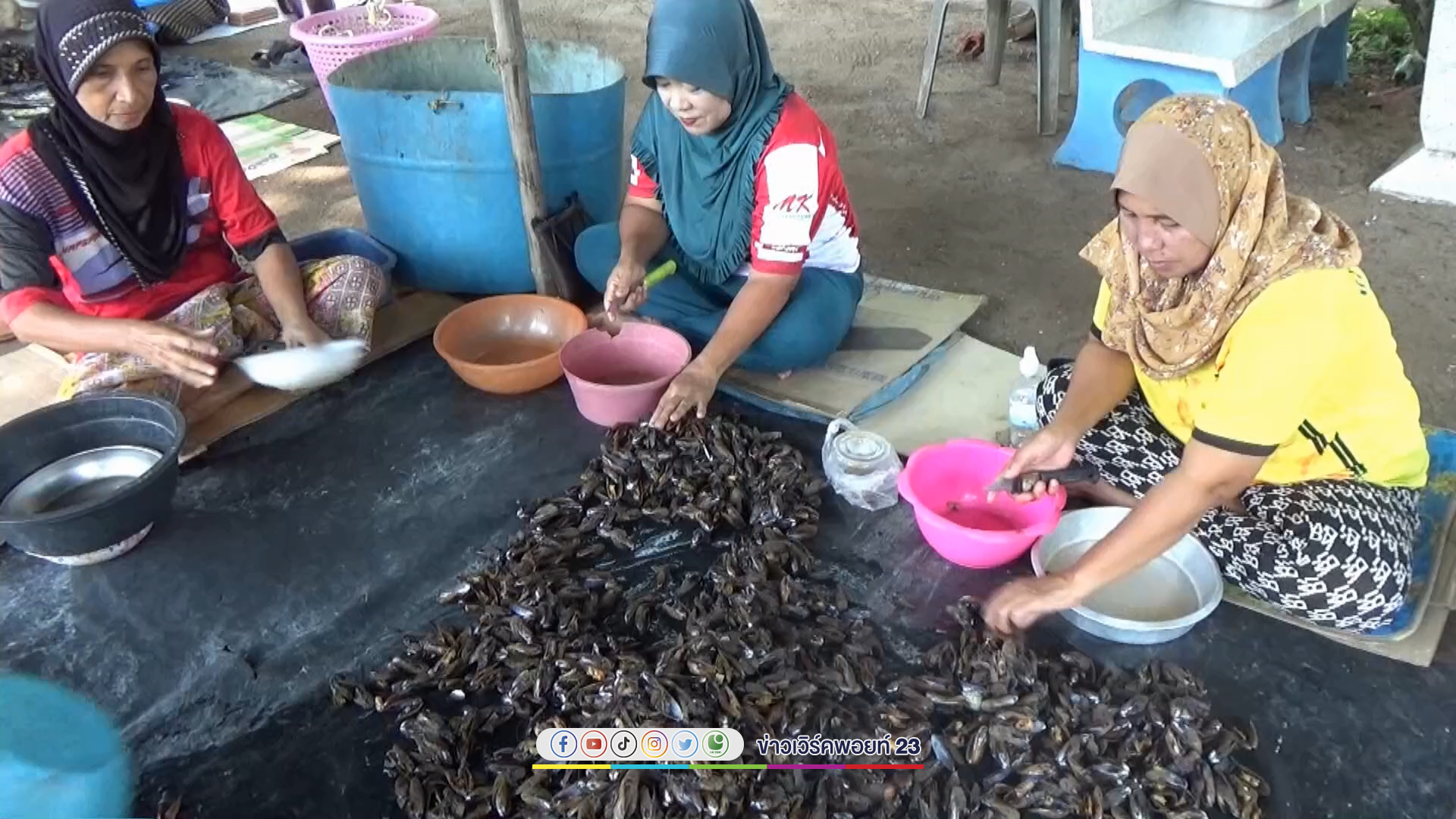 เก็บ"หอยกะพง"ในทะเลหน้าบ้านแกะเนื้อส่งขายรายได้สุดปังเดือนละ 5 - 6 หมื่นบาท