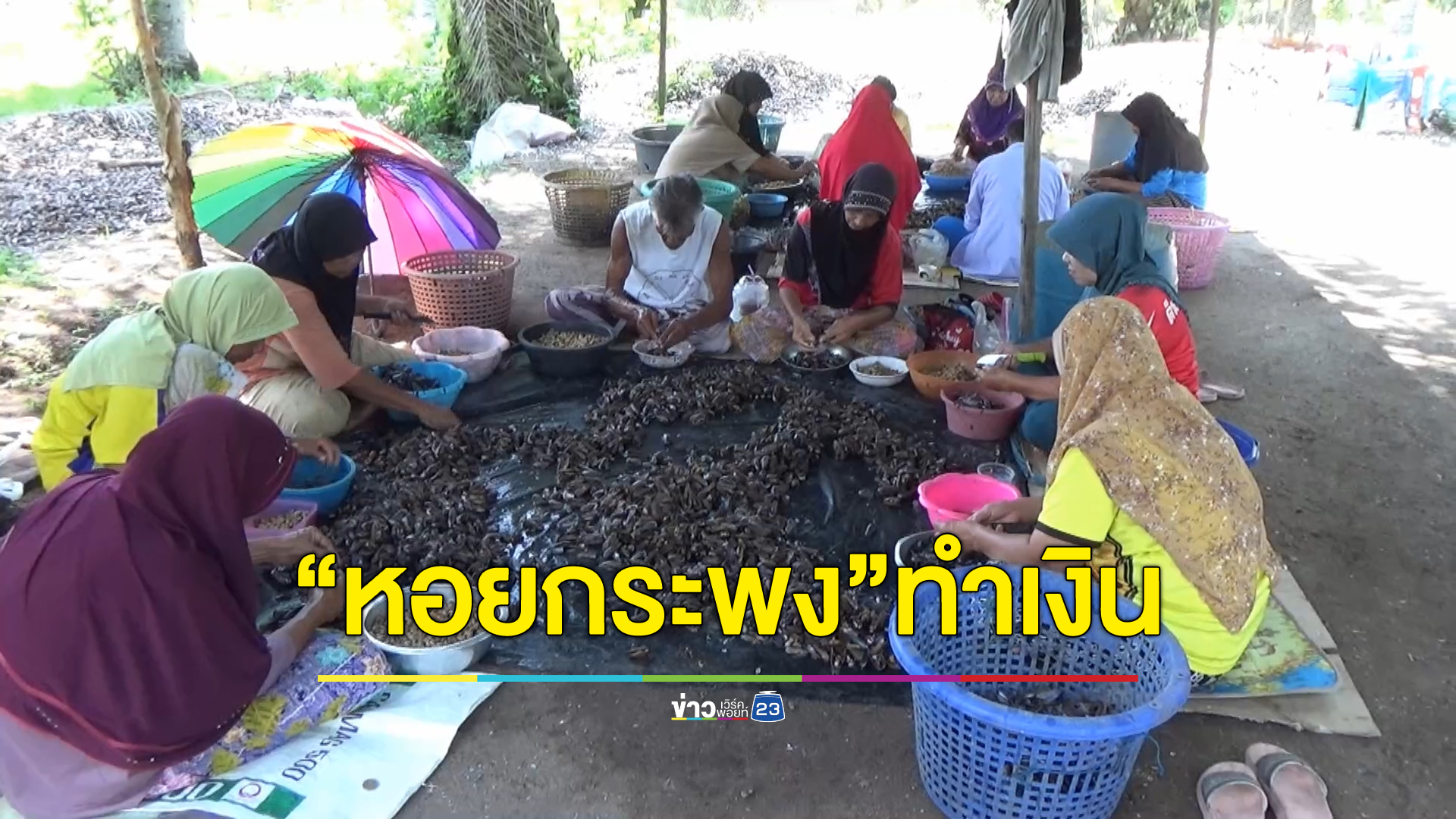 เก็บ"หอยกะพง"ในทะเลหน้าบ้านแกะเนื้อส่งขายรายได้สุดปังเดือนละ 5 - 6 หมื่นบาท