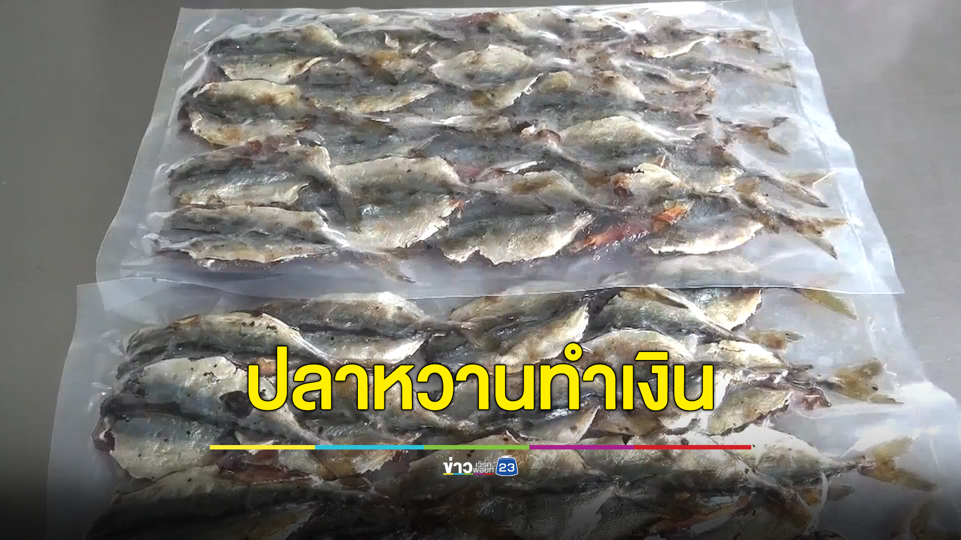 จากปลาทู สู่ "ปลาหวาน" อีกหนึ่งสินค้าของดีเมืองตรัง สร้างรายได้ให้ชุมชนบ้านหยงสตาร์