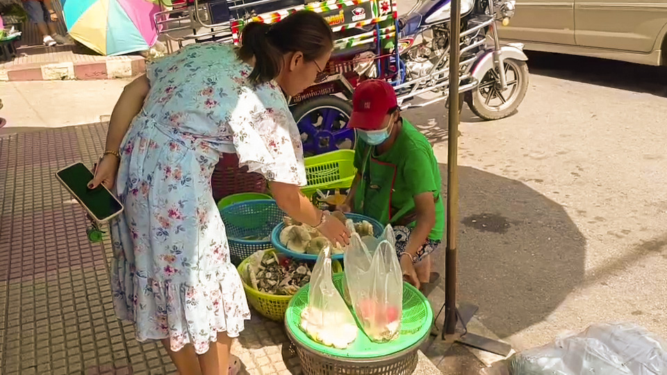 ชัยภูมิ ชาวบ้านแห่นั่งรถข้ามจังหวัด เข้าป่าเก็บเห็ดขายสร้างรายได้