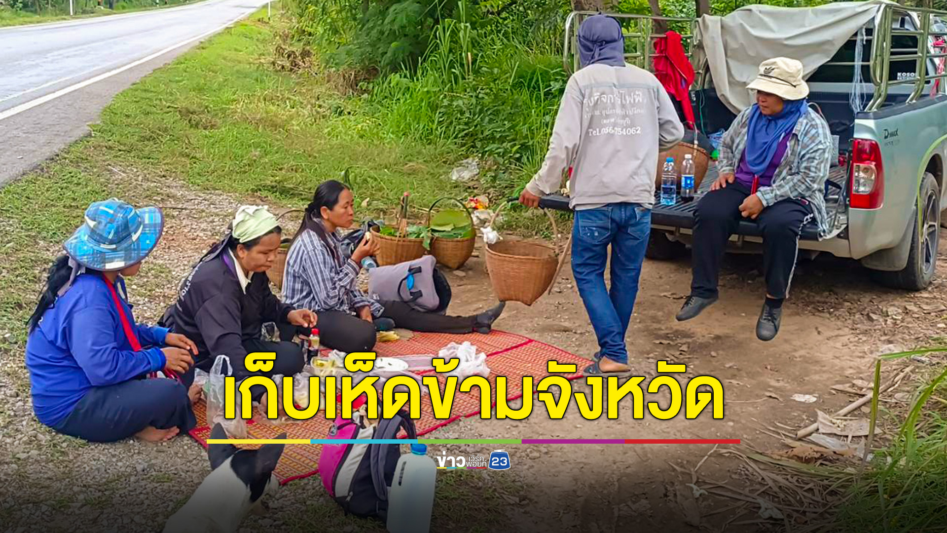 ชัยภูมิ ชาวบ้านแห่นั่งรถข้ามจังหวัด เข้าป่าเก็บเห็ดขายสร้างรายได้