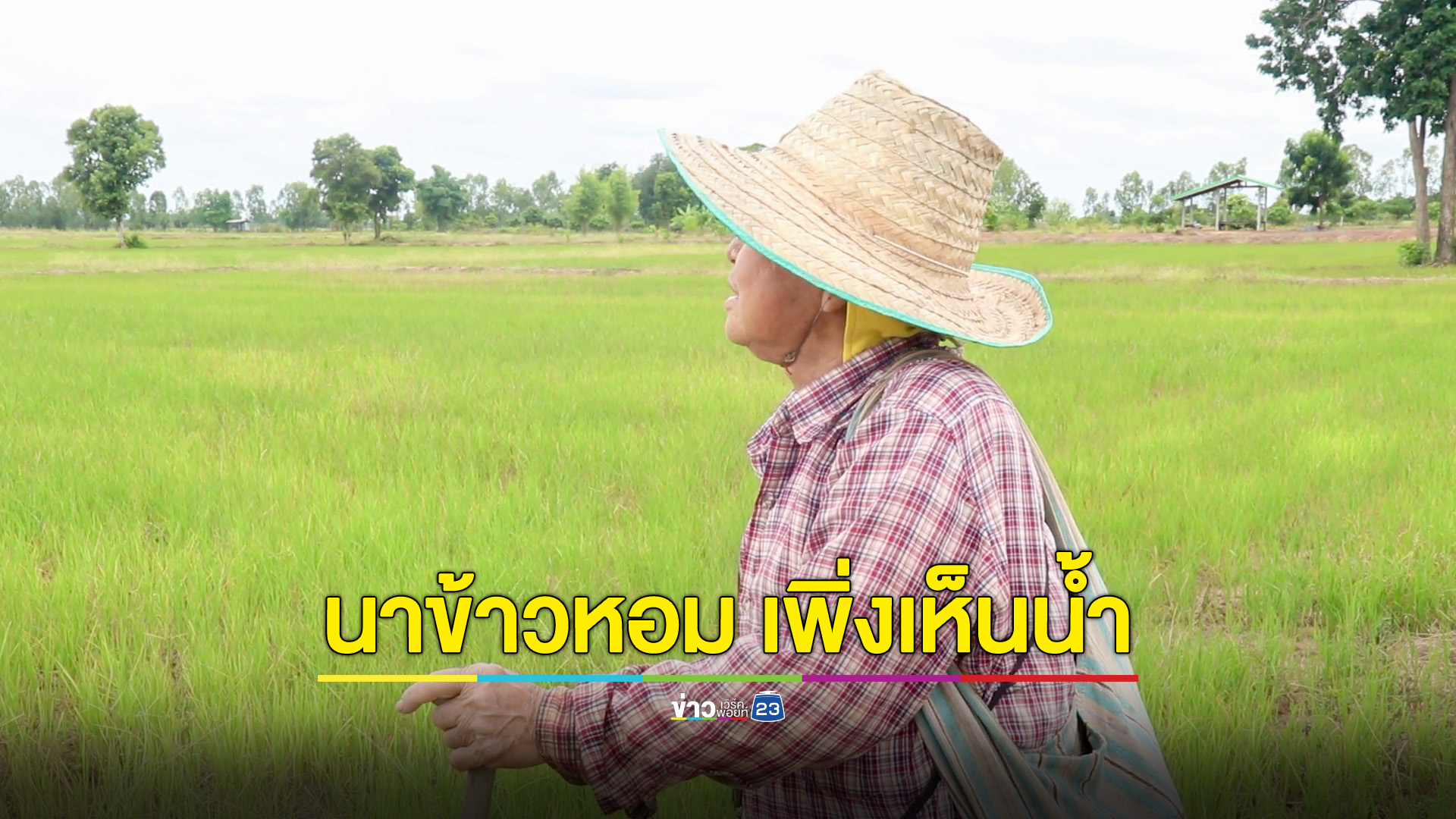 ชาวนาพิจิตร หวังฝนตกต่อเนื่อง