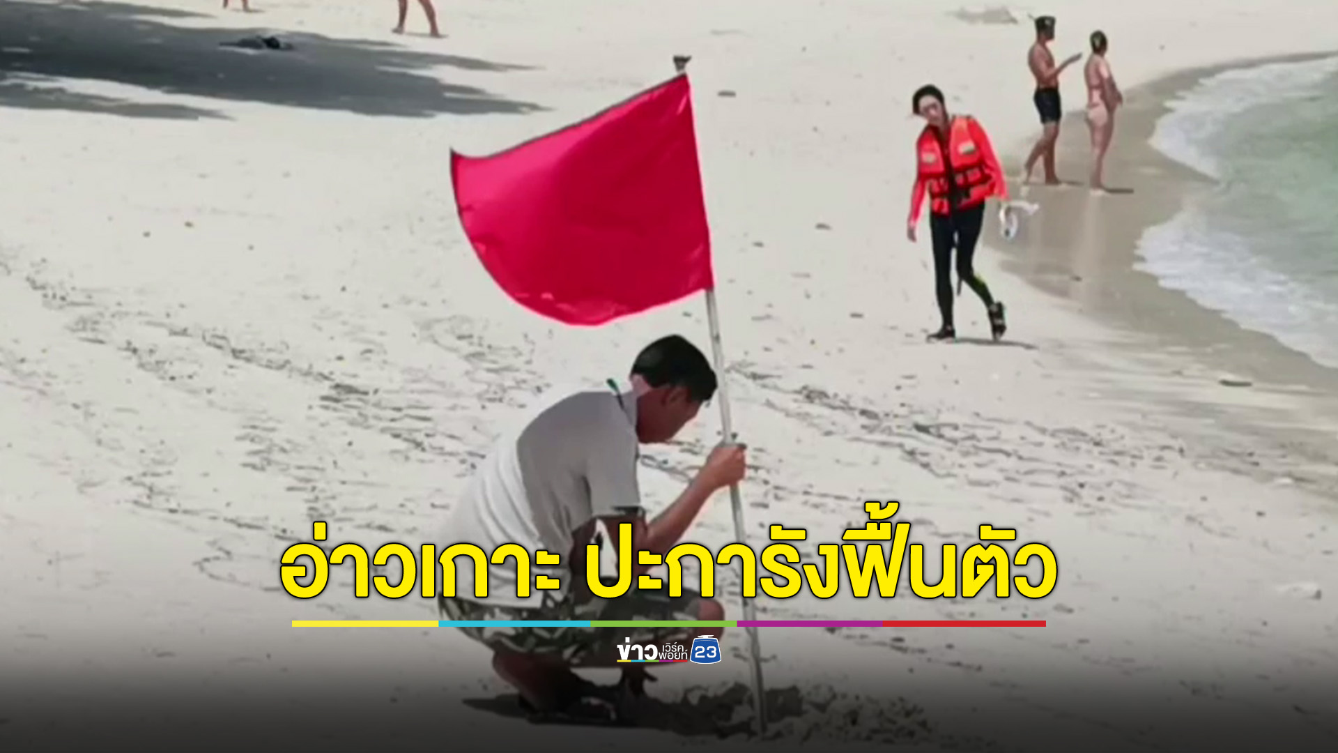 สัญญาณดี น้ำลดปะการังผุด อ่าวเกาะห้อง พบเกิดใหม่กระจายทั่ว