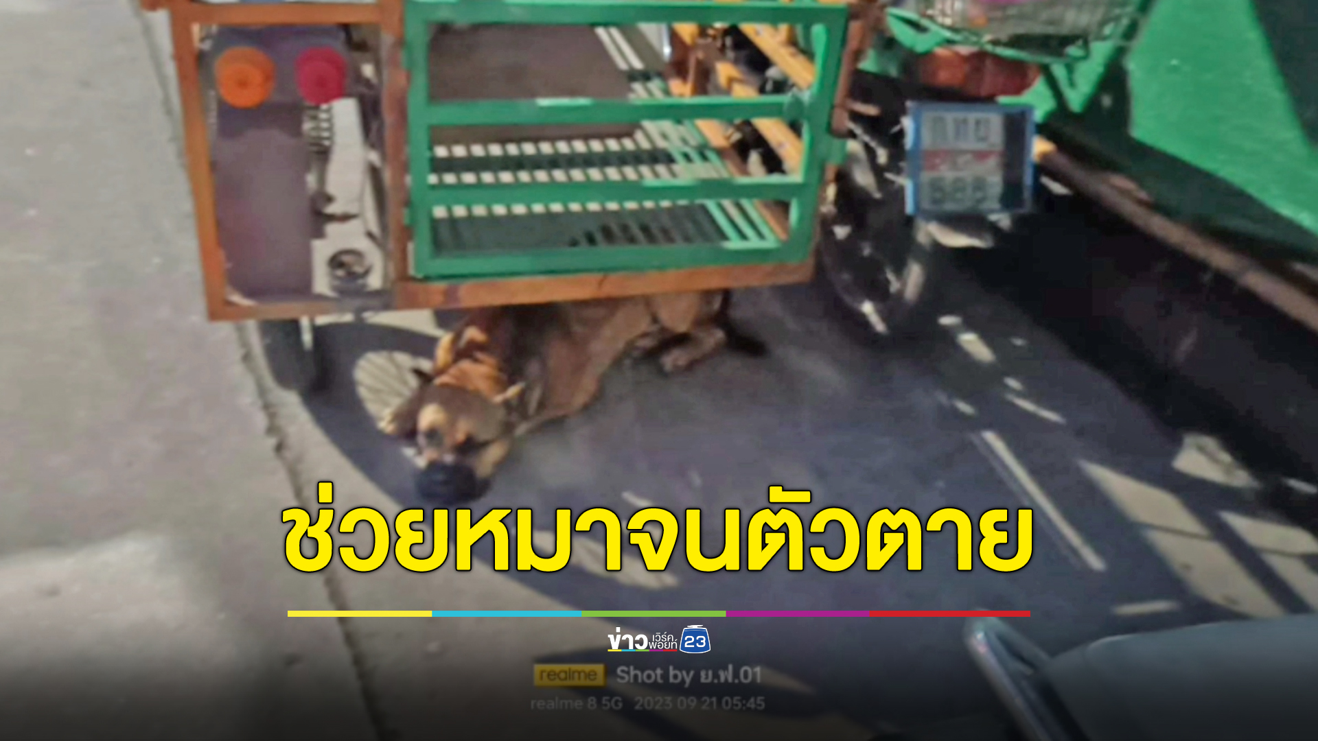 สลดหนุ่มใหญ่กระโดดน้ำช่วยหมา ตัวเองกลับจมดับ