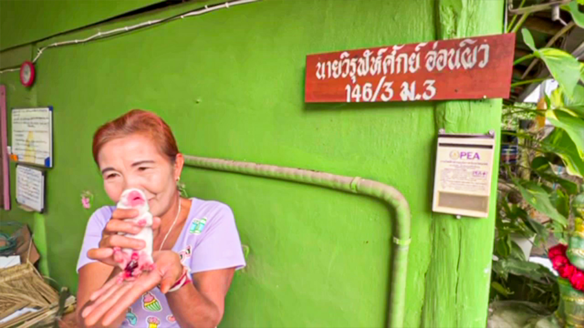 แตกตื่นสุนัขออกลูก 6 ขา วันหวยออก