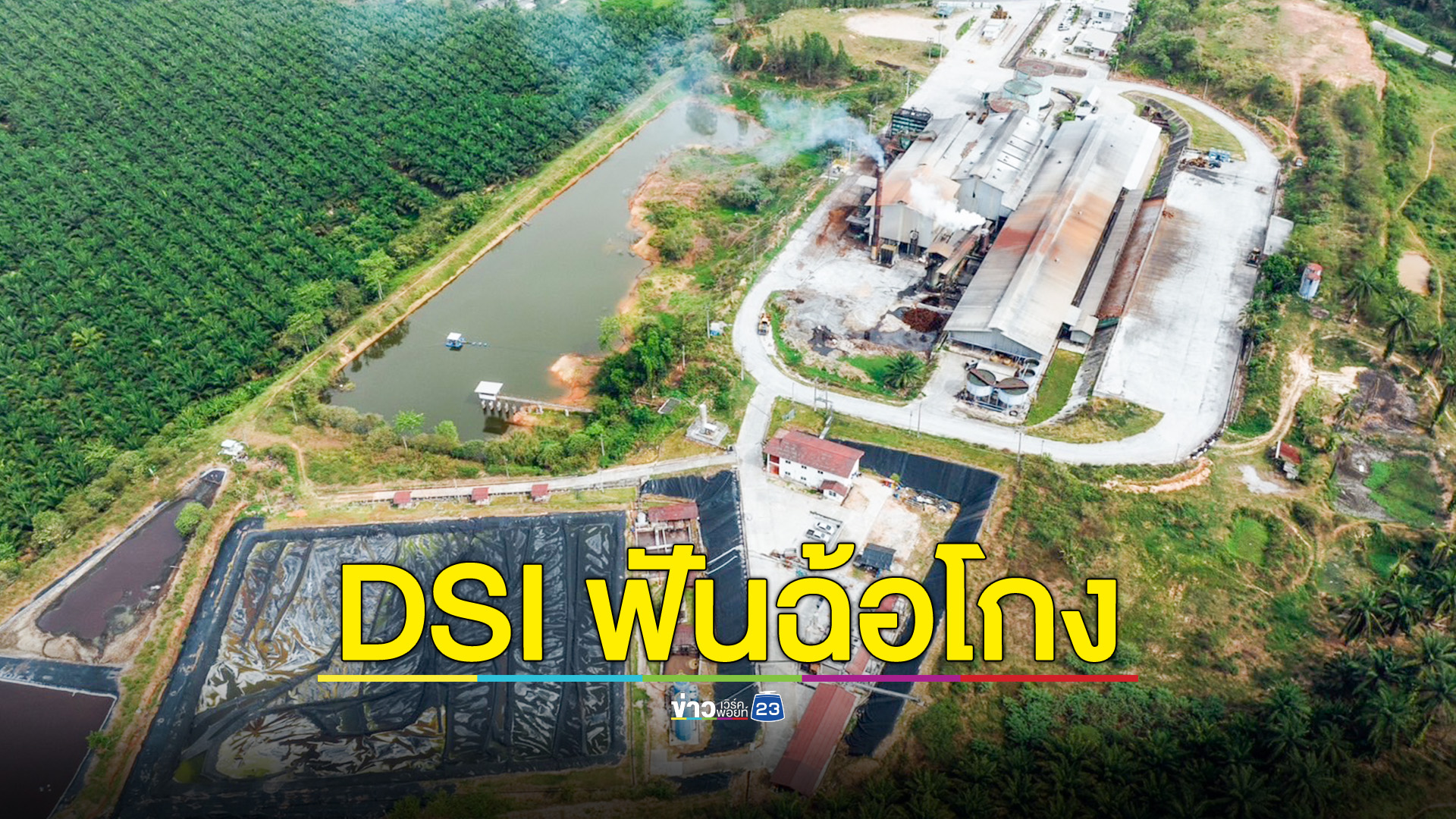 DSI เตรียมแจ้งข้อหาฉ้อโกงสหกรณ์ปาล์มน้ำมันกระบี่ หลังพบหลักฐานเด็ด!
