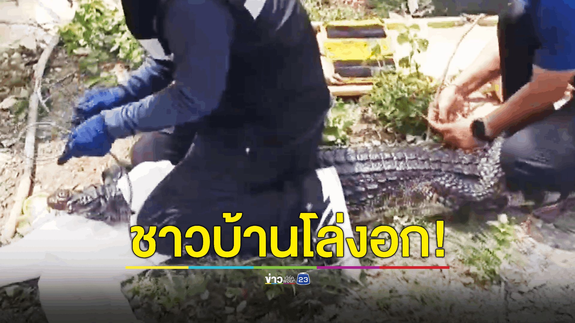 เจอตัวหมดแล้วจระเข้ 38 ตัว หลุดฟาร์ม