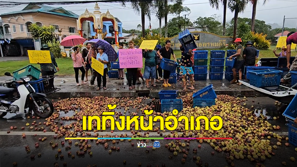 ชาวสวนมังคุดสุดจะทน ขนมังคุดนับพันกิโลกรัมเททิ้งหน้าอำเภอ