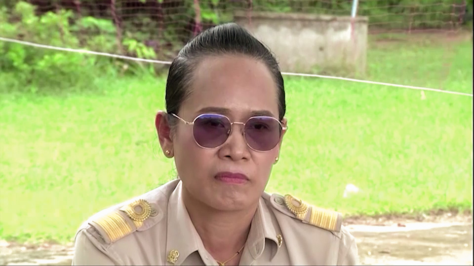 โผล่อีก! ตัดต้นพะยูง จุดที่ 7 ไม้ในโรงเรียนเมืองน้ำดำ อายุ 50 ปี 4 ต้น