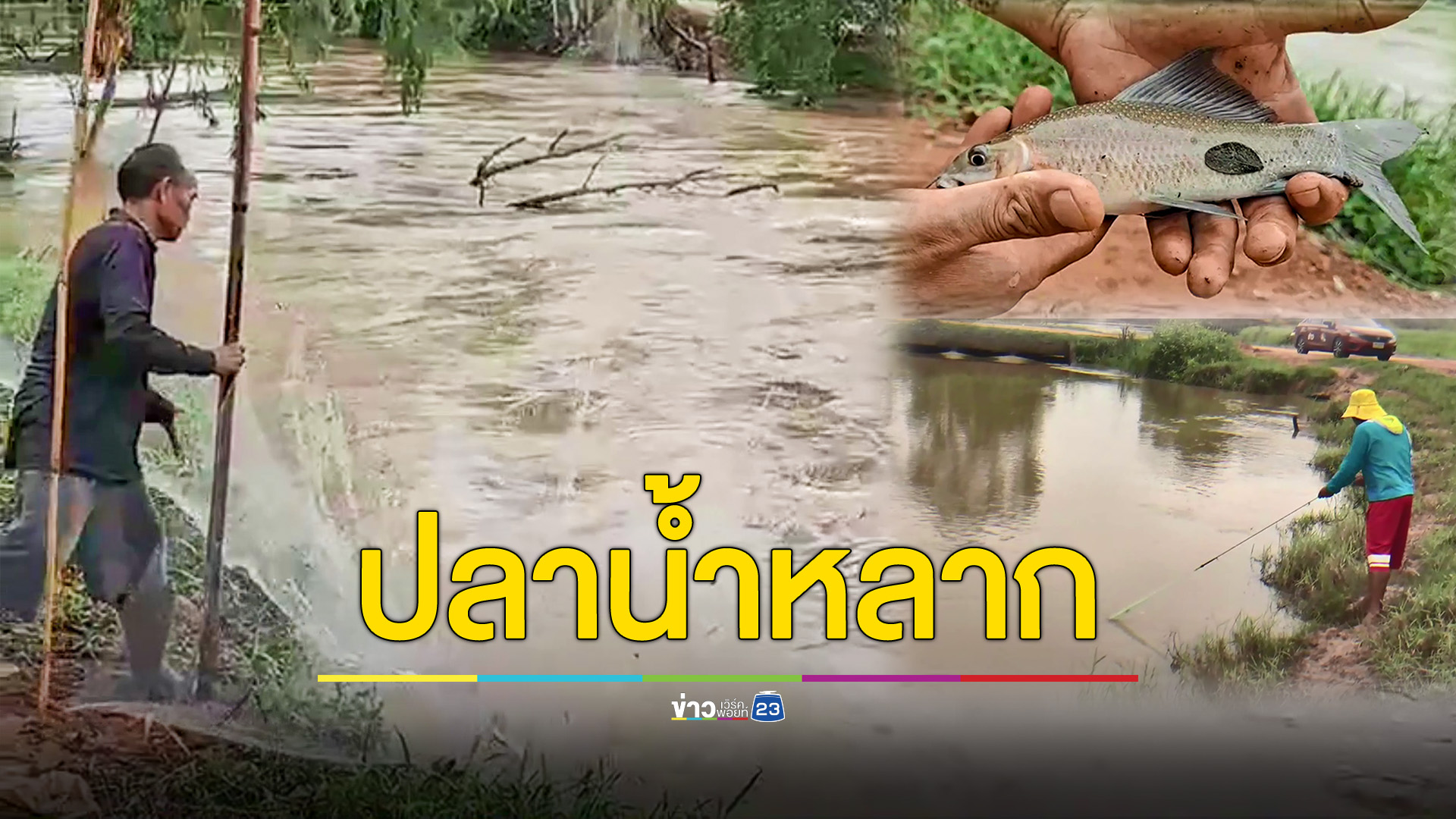 น้ำหลากชาวบ้านแห่หาปลาขายรายได้งาม ส่วนทางการเตือนเฝ้าระวังฝนตกหนัก