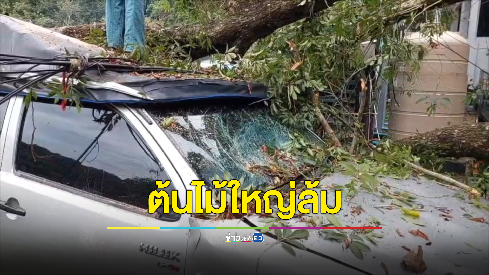 ระทึก ต้นมะแฟนยักษ์อายุ 50 ปี โค่นทับรถนักท่องเที่ยว วันเดียวกับนายกฯตรวจอุโมงค์ผันน้ำดอยสะเก็ด
