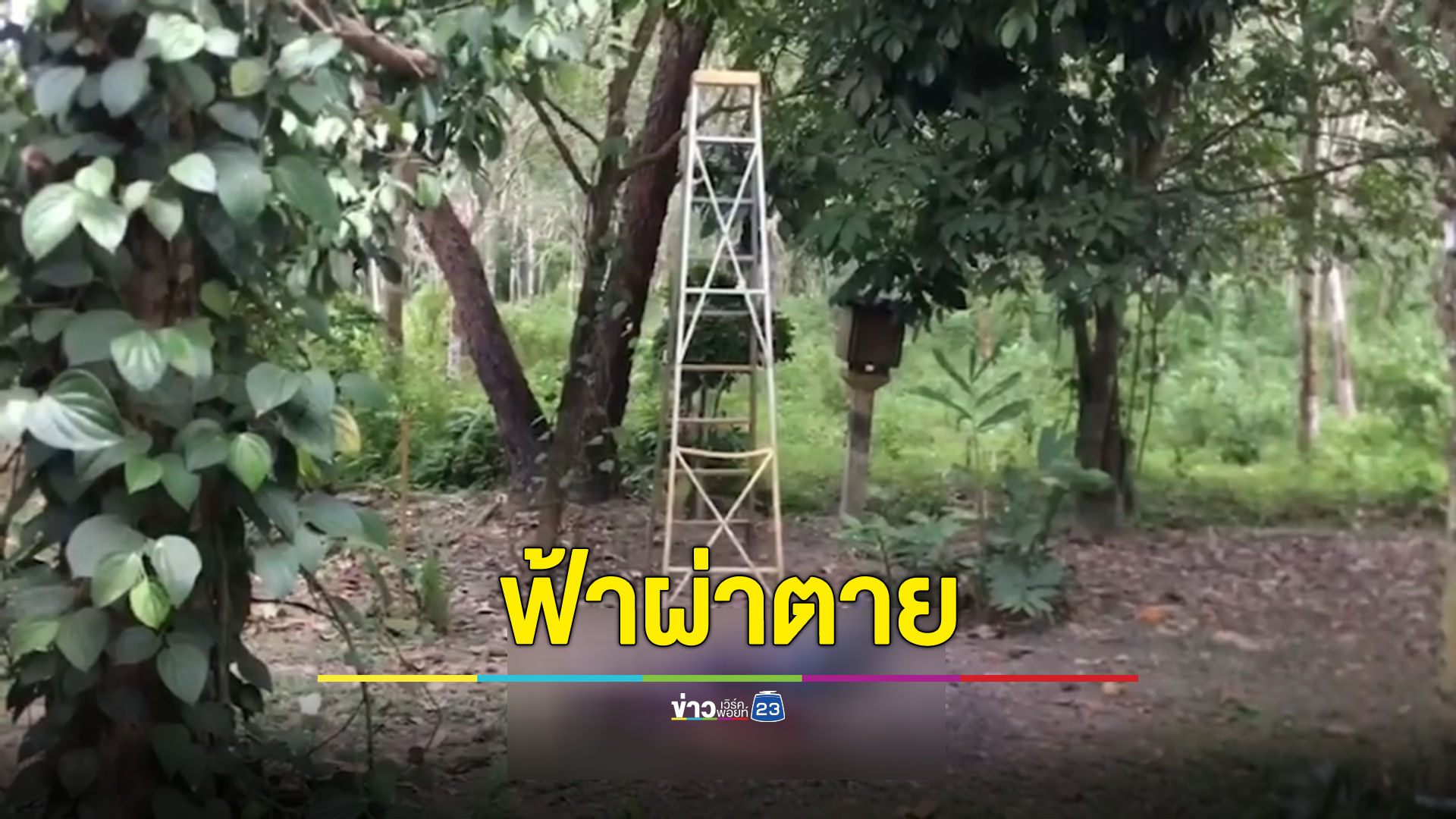 หนุ่มใหญ่ลูกจ้างเทศบาลฟ้าผ่าตายคาใต้ต้นลองกอง