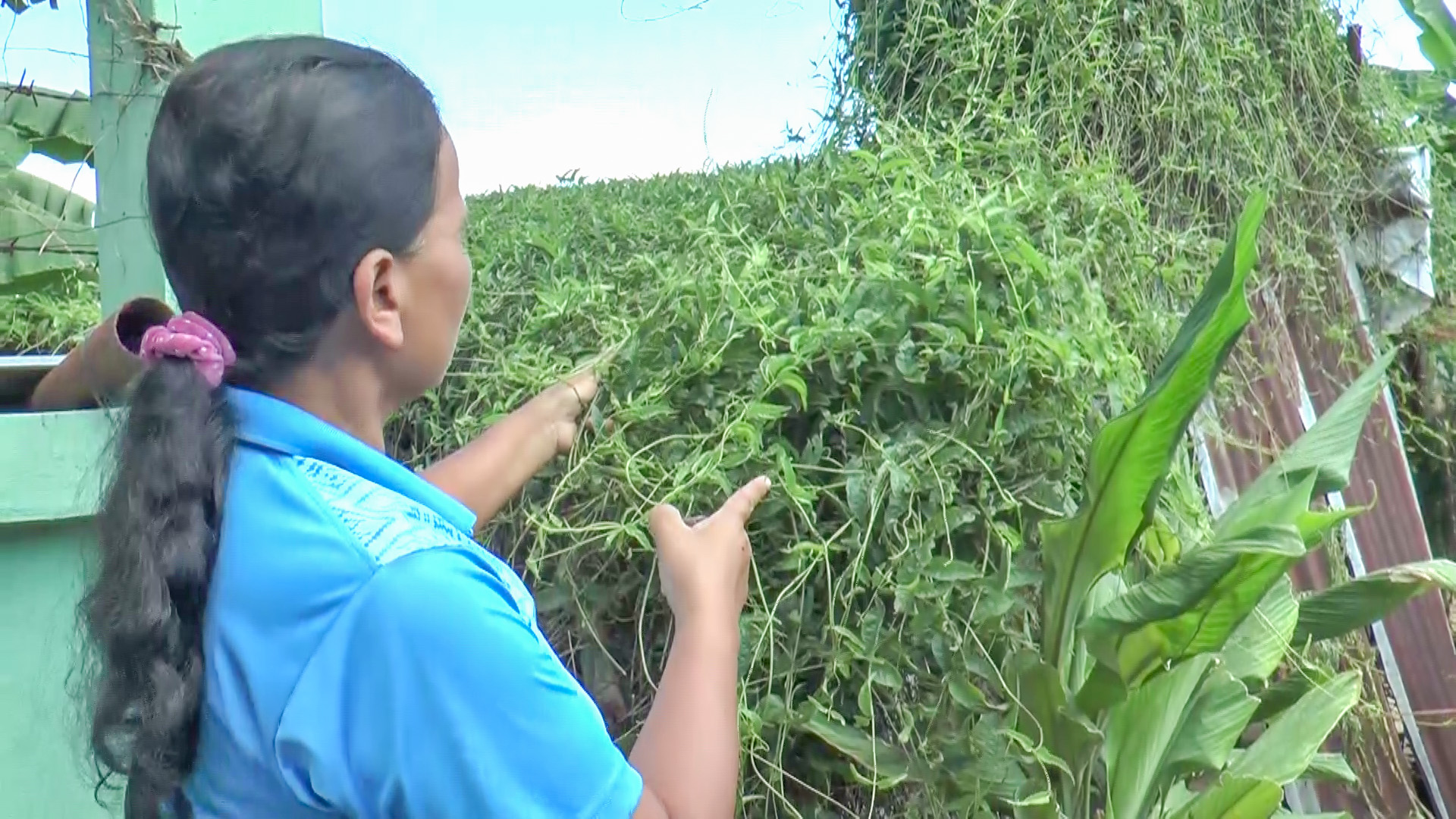 ตอบรับขนมตดหมาเป็นอาหารพื้นถิ่นเมืองปราสาท