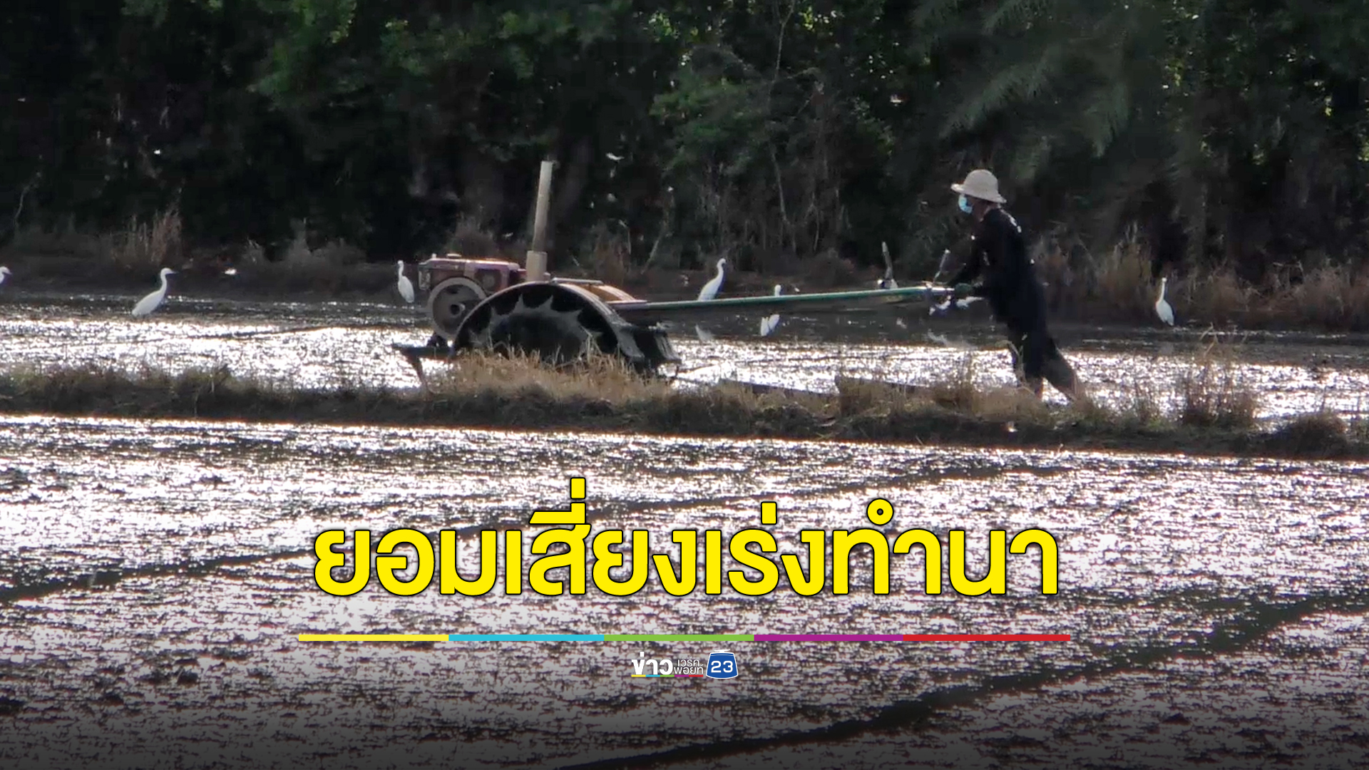 ฝนเริ่มมาชาวนายอมเสี่ยง เร่งหว่านไถให้ทันข้าวราคาสูง