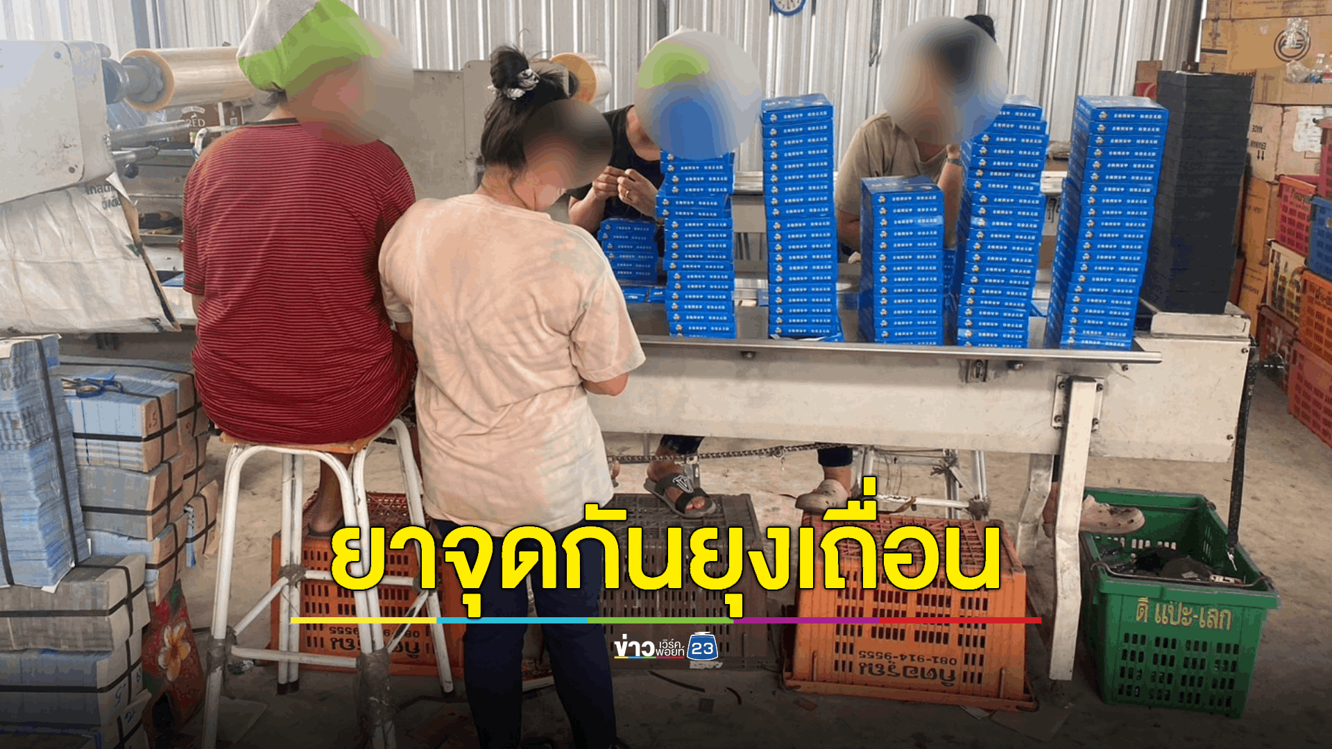 ทลายโรงงานผลิตยากันยุงเถื่อนเกือบ 3 แสนกล่อง