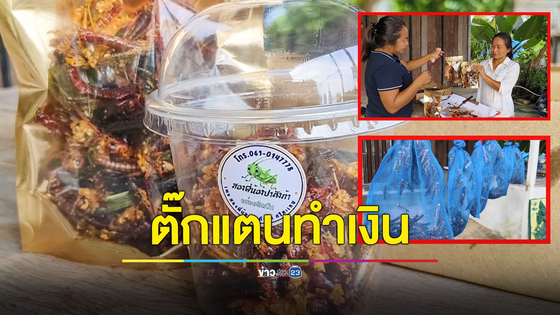 ปาทังก้าชุบแป้งทอดหลากรส สร้างรายได้เสริมเกษตรกร