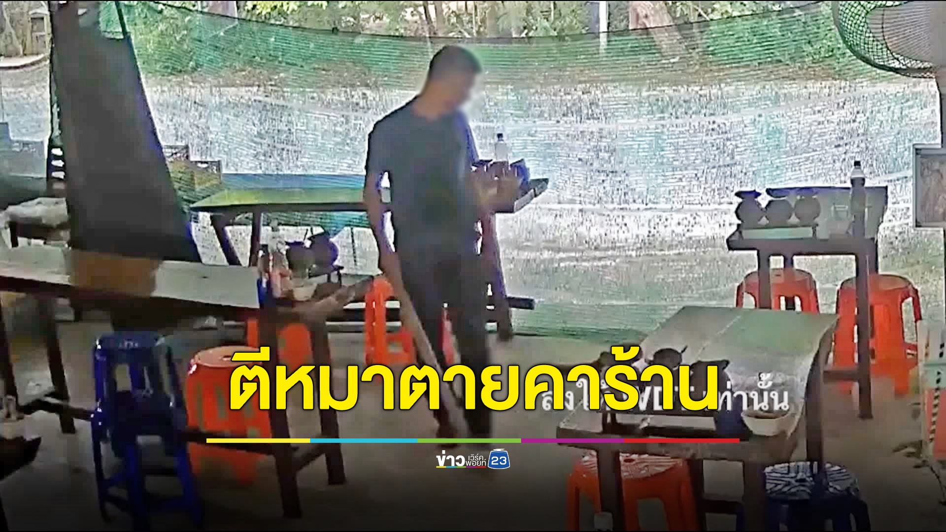 ยอมรับตีหมาจรตาย สารภาพทนไม่ไหวหมาดุกัดคนไม่เลือก