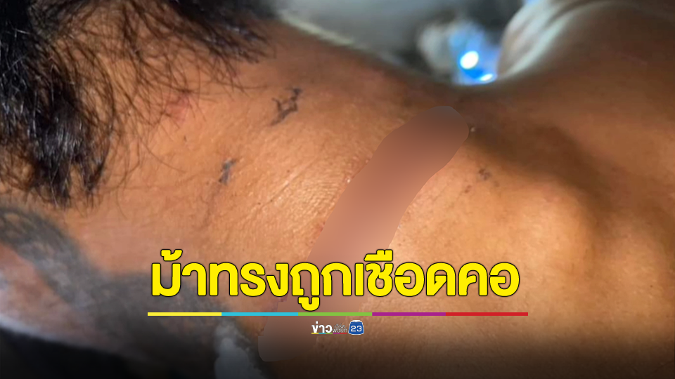 ญาติลงสื่อโซเชียลถามเหตุพี่ชายเป็นม้าทรงถูกเชือดคอช่วงประทับร่างองค์พระจีน