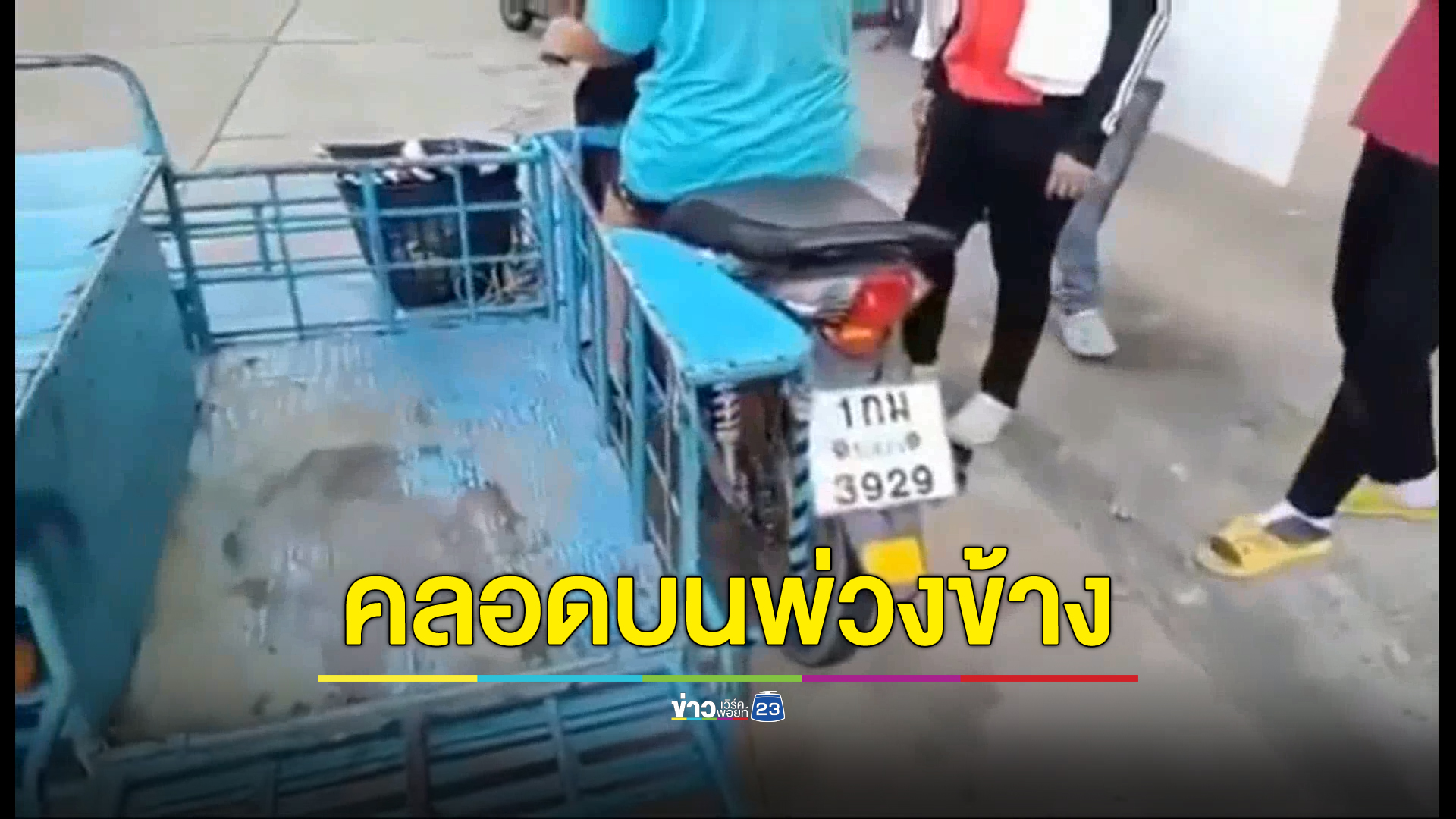 ไปไม่ถึงรพ. หญิงระยองท้องแก่สุดอั้นคลอดบนจยย.พ่วงข้าง คอหวยอดส่งทะเบียนรถไม่ได้