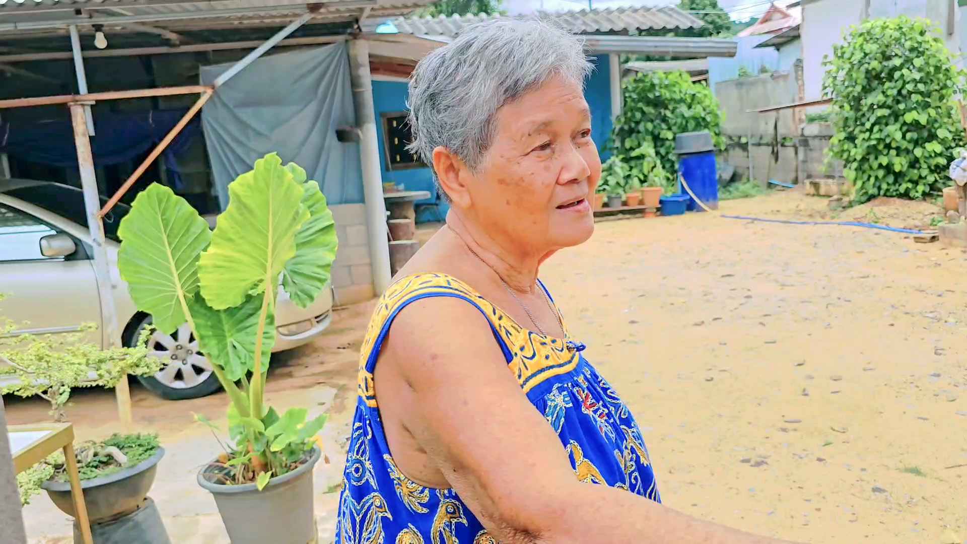 หลวงกับเจ้าแม่ใครจะแน่กว่ากัน ศาลแม่มะลิกับต้นมะหาดตระหง่านกลางถนน ทางการไม่กล้าแตะ