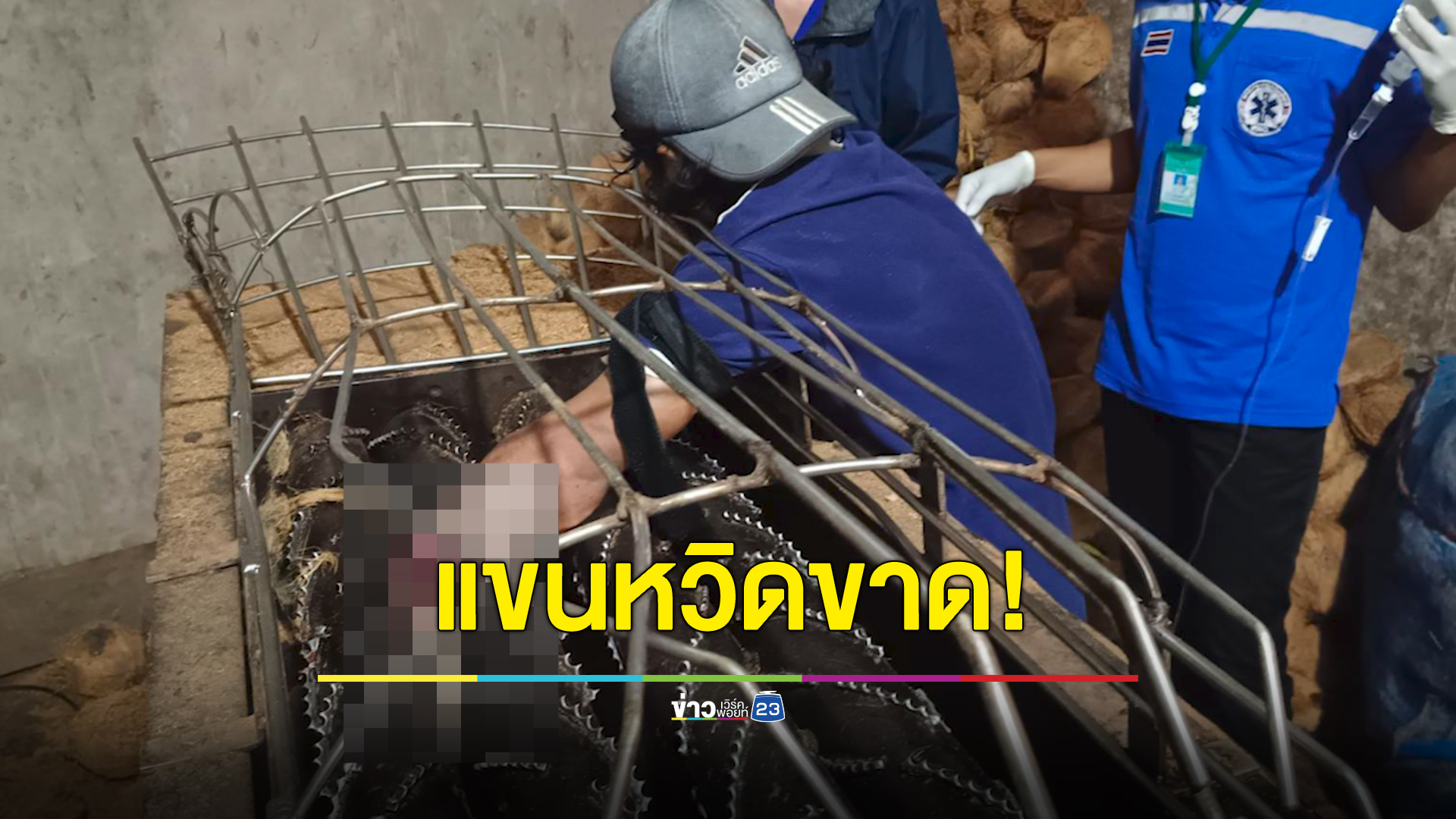 เครื่องปอกมะพร้าวดูดมือ คนงานหวิดแขนขาด