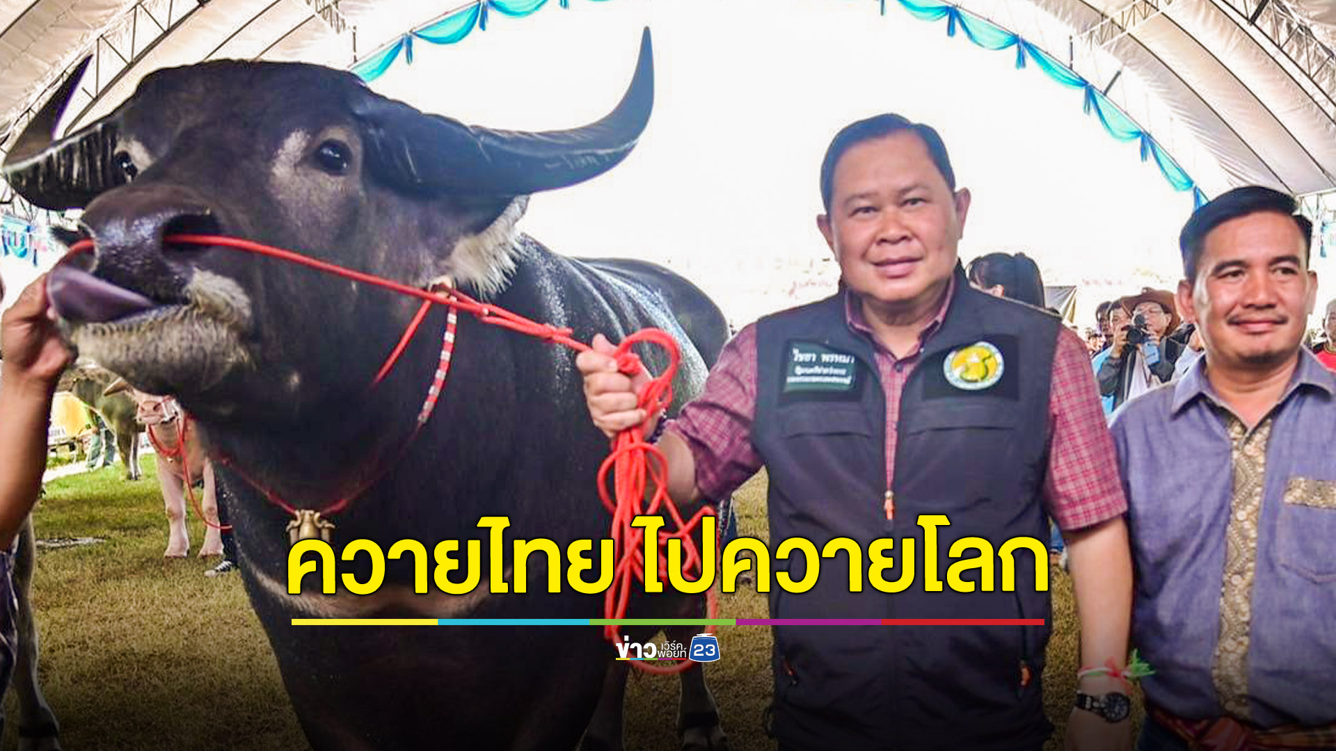 เปิดมหกรรมควายไทยไปควายโลก เมืองหนองบังลุ่มภู