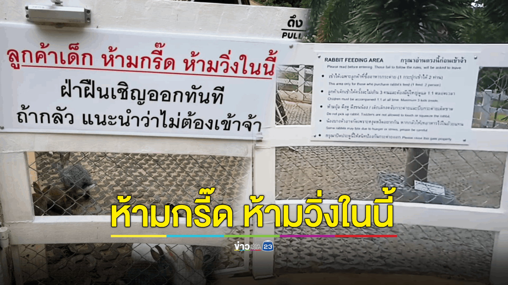 ดราม่า! คาเฟ่ดังเขาใหญ่ ห้ามลูกค้าเด็กวิ่ง - กรี๊ดในคอก "ถ้ากลัวไม่ต้องเข้า"