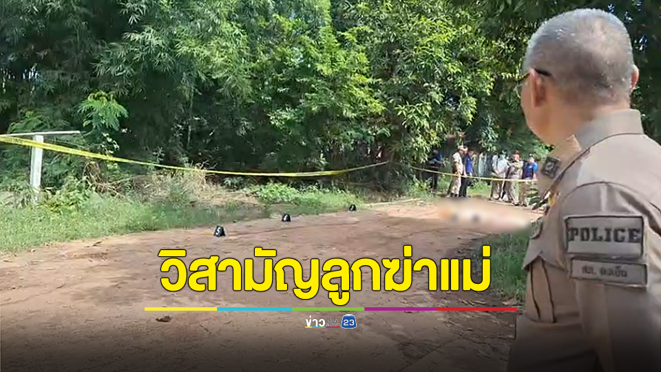 ลูกหลอนยาฆ่าแม่ ไม่หนำใจบุกทำร้ายเพื่อน แจ้งตร.โดนยิงดับ