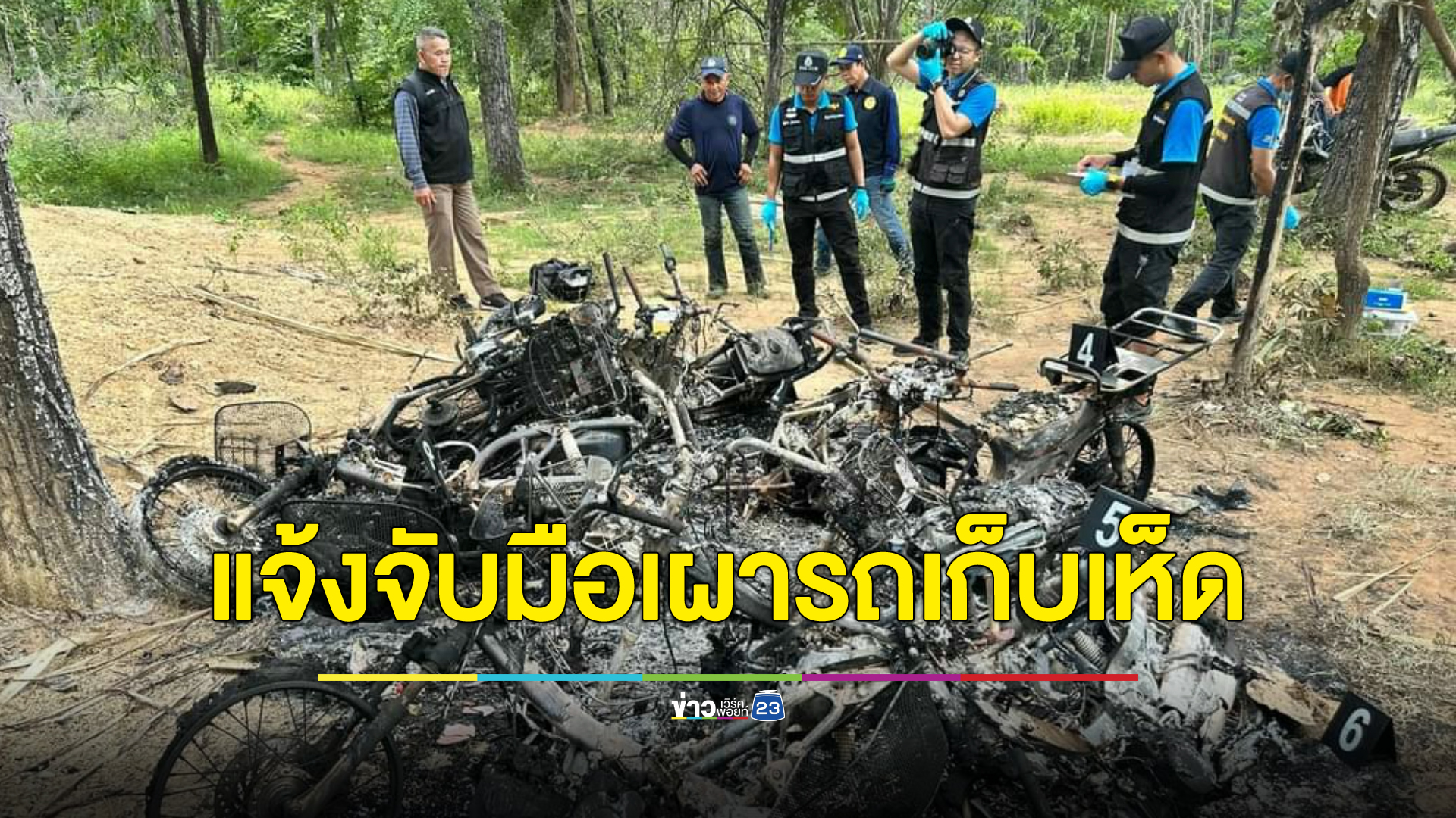 เปิดพฤติกรรมสุดเหี้ยม ลากรถชาวบ้านหาเห็ดโคนข้ามถิ่นกองรวมเผาหมู่ เผยเห็ดโคนทำเงินปีละ 10 ล้าน