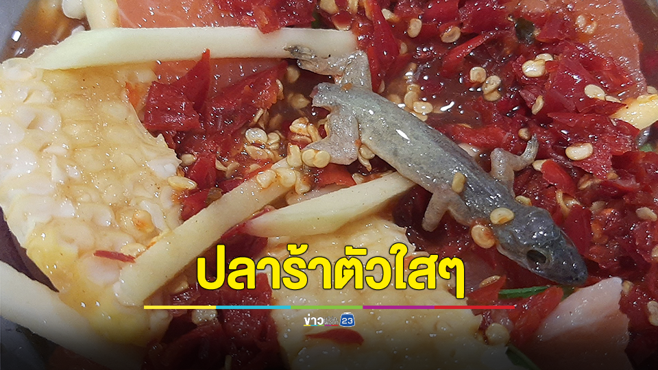 อวสานยำปลาแซลมอน! สาวซื้อยำแซลม่อน เห็นปลาร้าตัวใสๆ พอเขี่ยดู ถึงกับอึ้ง วอน ร้านค้าใส่ใจเรื่องความสะอาด