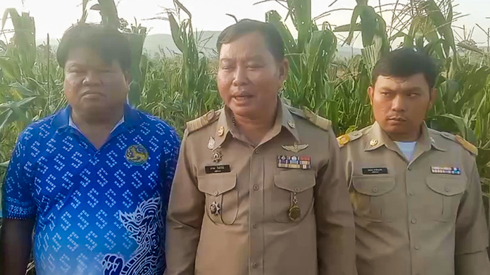 ชาวไร่เดือดร้อนหนัก ฝูงลิงเเสมนับพันตัวบุกกินพืชผลทางการเกษตรเสียหายกว่า 100 ไร่