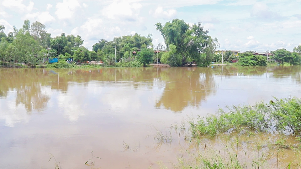 แม่น้ำยม ยังล้นท่วมนาข้าว-บ้านเรือนต่อเนื่อง