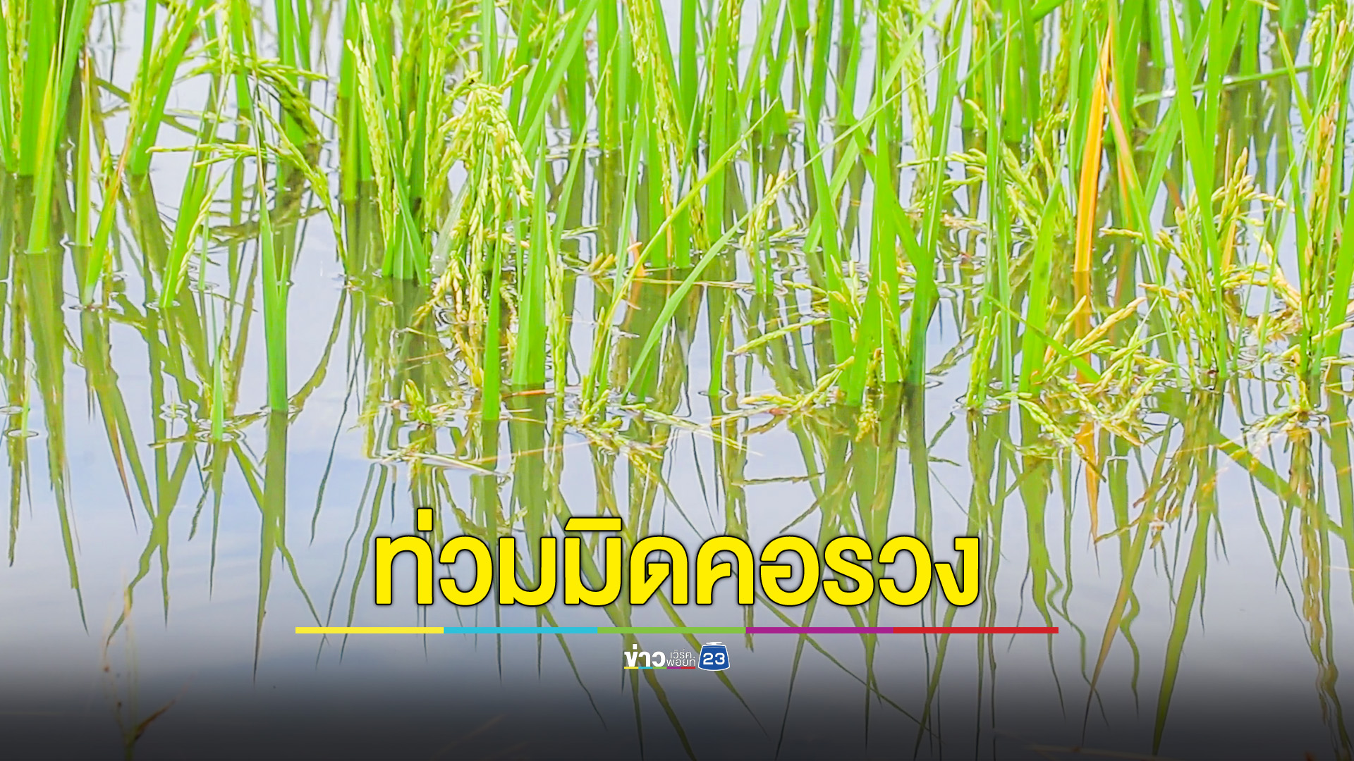 แม่น้ำยม ยังล้นท่วมนาข้าว-บ้านเรือนต่อเนื่อง