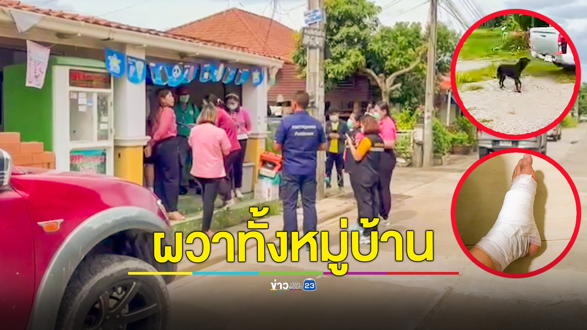 หมาบ้าอาละวาดกัดไม่เลือก สธ.เร่งลงพื้นที่ สั่งเฝ้าดูอาการทั้งคนทั้งสัตว์เลี้ยงที่โดนกัด