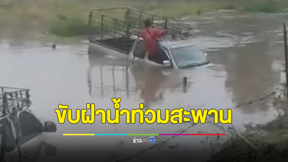 2 รถกระบะคอกรั้น ขับฝ่าน้ำท่วมสะพาน สุดท้ายไม่พ้น ลอยไปตามน้ำ คนขับหนีตายออกจากรถ