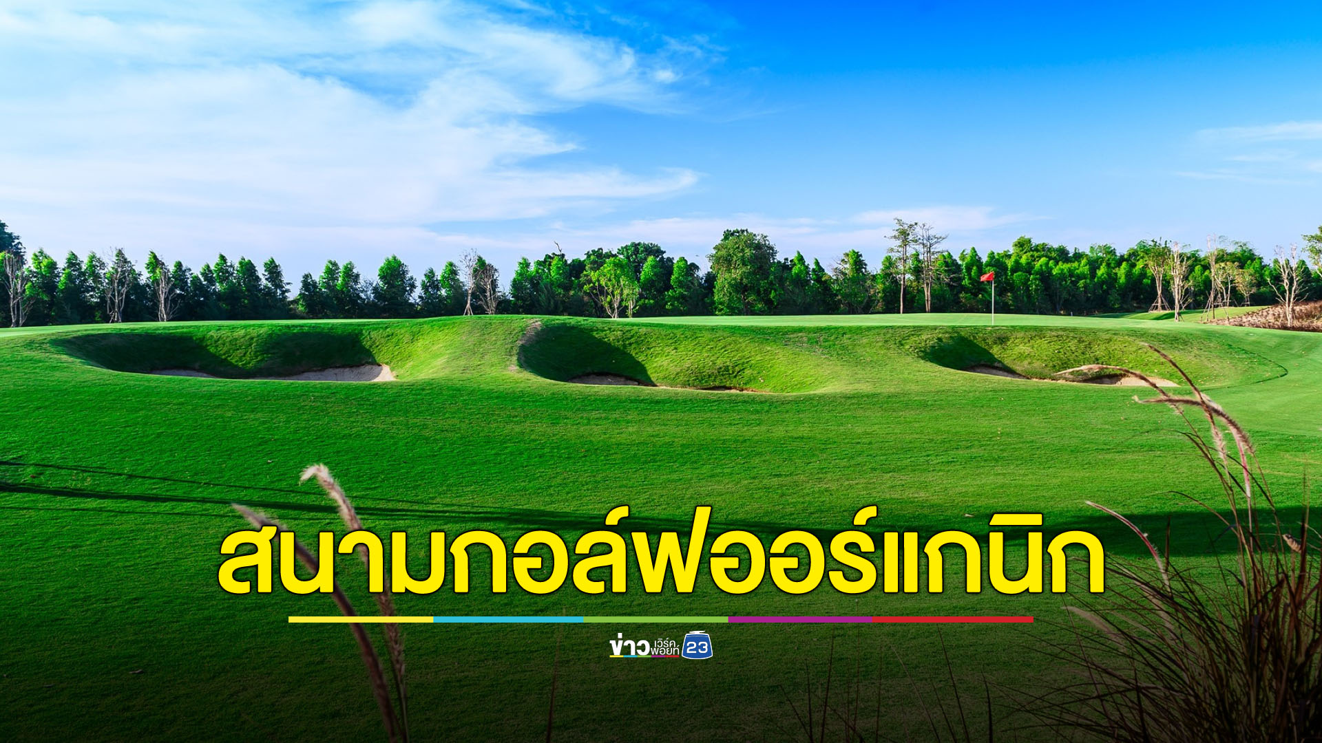 สนามกอล์ฟออร์แกนิก