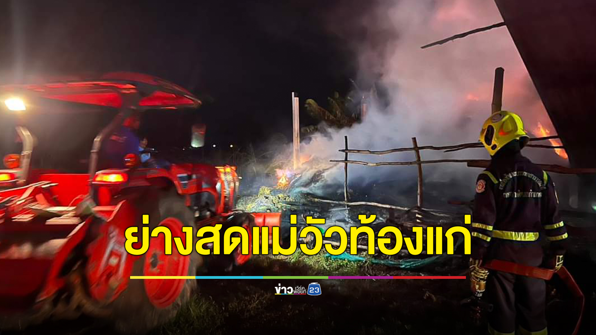 สังเวย!วัวท้องแก่ วัวสาว 4 ตัว เจ็บนับสิบ เจ้าของก่อไฟไล่ยุงลามเผาคอกวอดกลางดึก