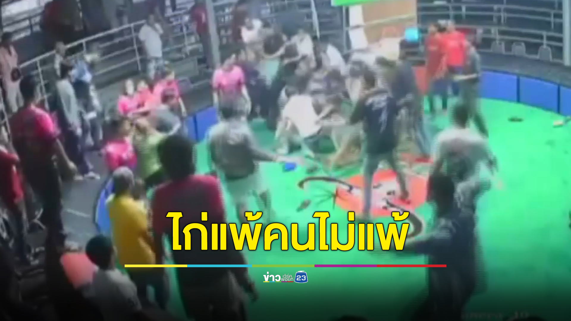 ยิงกลางบ่อนไก่! ไก่แพ้คนไม่แพ้ เดิมพันหลักแสน ไม่พอใจชกต่อย คนแพ้ควักปืนรัวใส่คนชนะดับ ก่อนหลบหนี