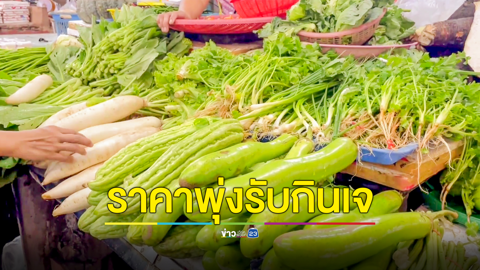 ราคาผักพุ่งต่อเนื่องรับกินเจ แม่ค้าโอดต้นทุนค่าขนส่งสูง