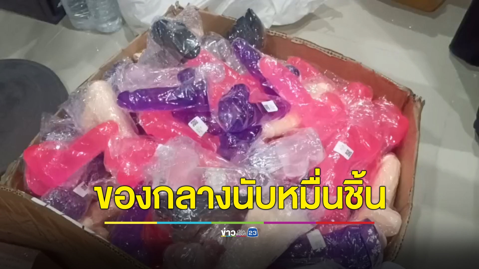 ทลายโกดัง"เซ็กซ์ทอย"ยึดของกลางกว่า 1 หมื่นชิ้น มูลค่านับ 10 ล้าน