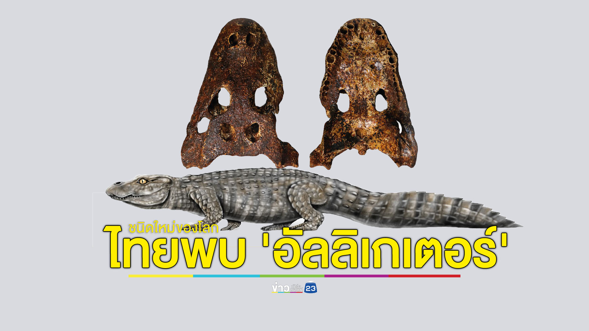 ไทยพบ 'อัลลิเกเตอร์' อายุ 2.3 แสนปี ชนิดใหม่ของโลก