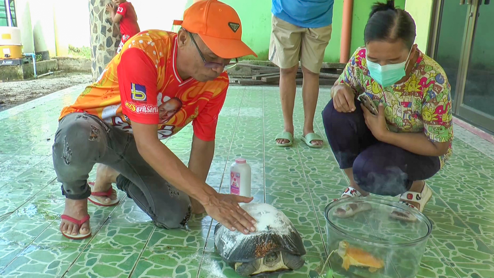 สุดปัง!รับโชคตะพาบน้ำสีทองแล้วงวดนี้ลุ้นเต่ายักษ์