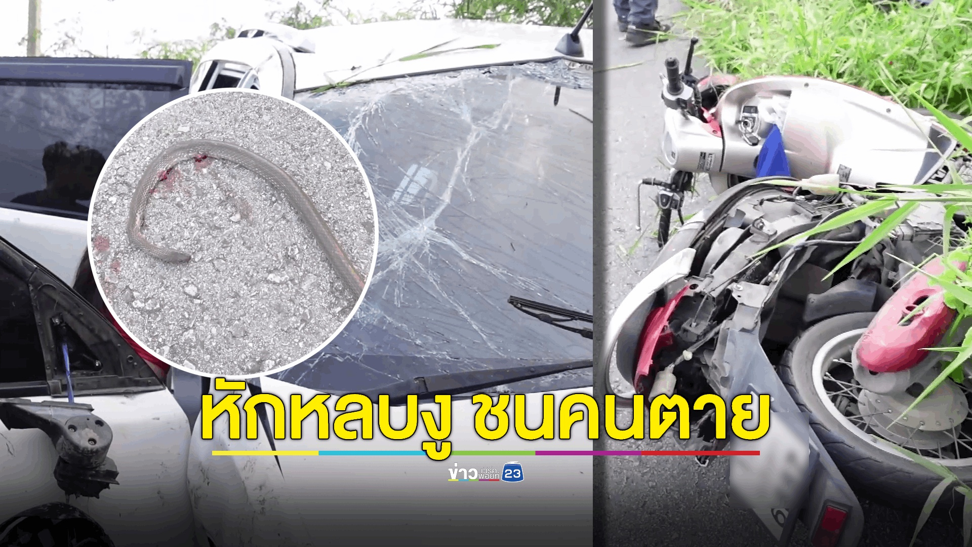 หักหลบงู พุ่งชนคนขี่ จยย. ตาย ก่อนรถพลิกคว่ำพุ่งลงพงหญ้า รอดตายหวุดหวิด