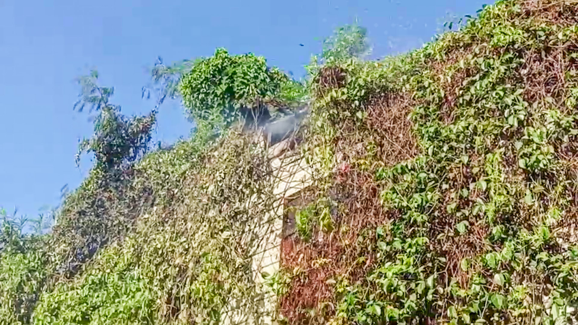 อุทาหรณ์! หนุ่มใหญ่เผาหญ้าไฟลามเกือบไหม้บ้านไม้เก่าอายุเกือบร้อยปีวอด