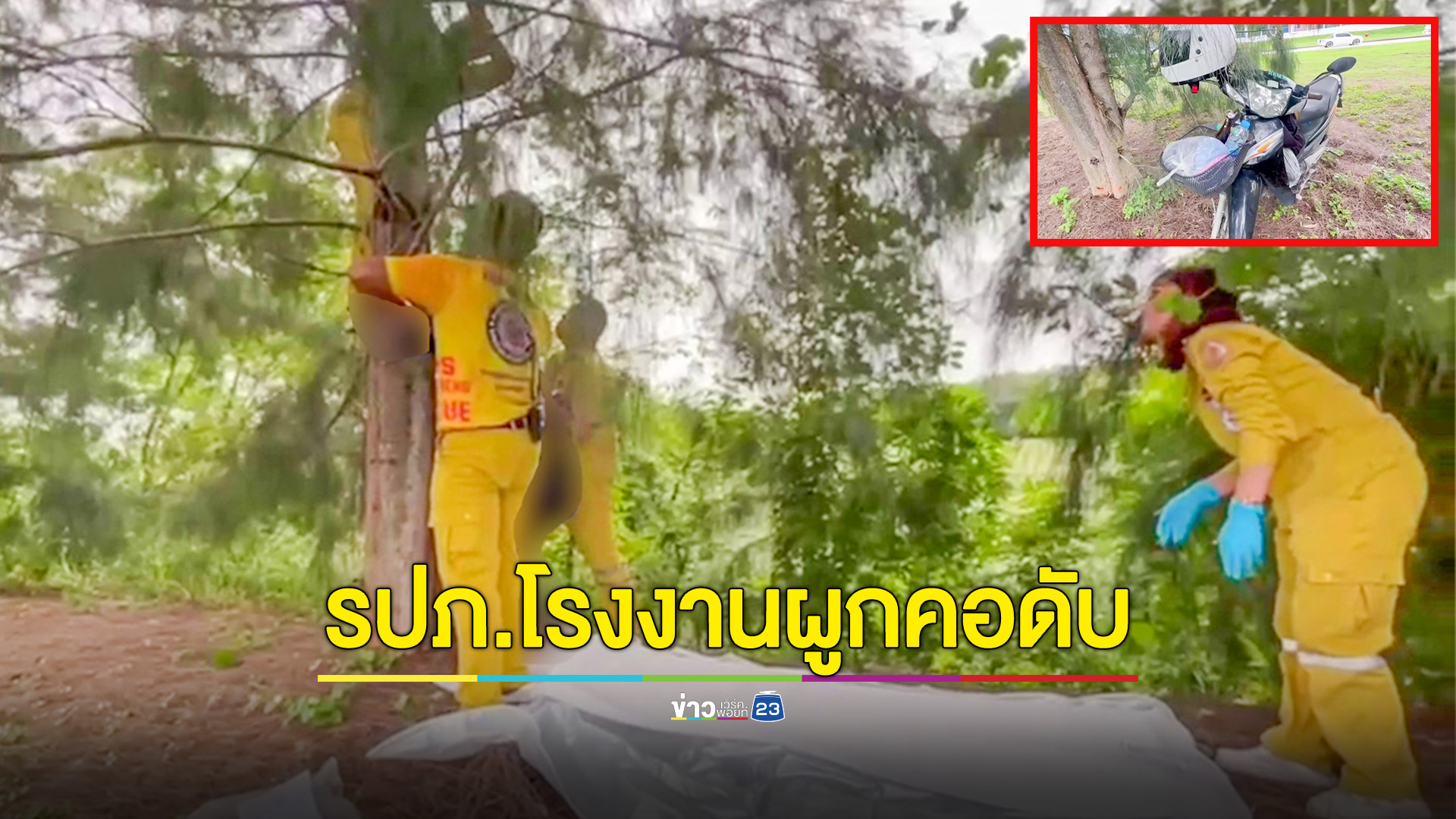 รปภ.คิดสั้น ผูกคอดับปริศนาใต้ต้นสนหน้าที่ทำงาน