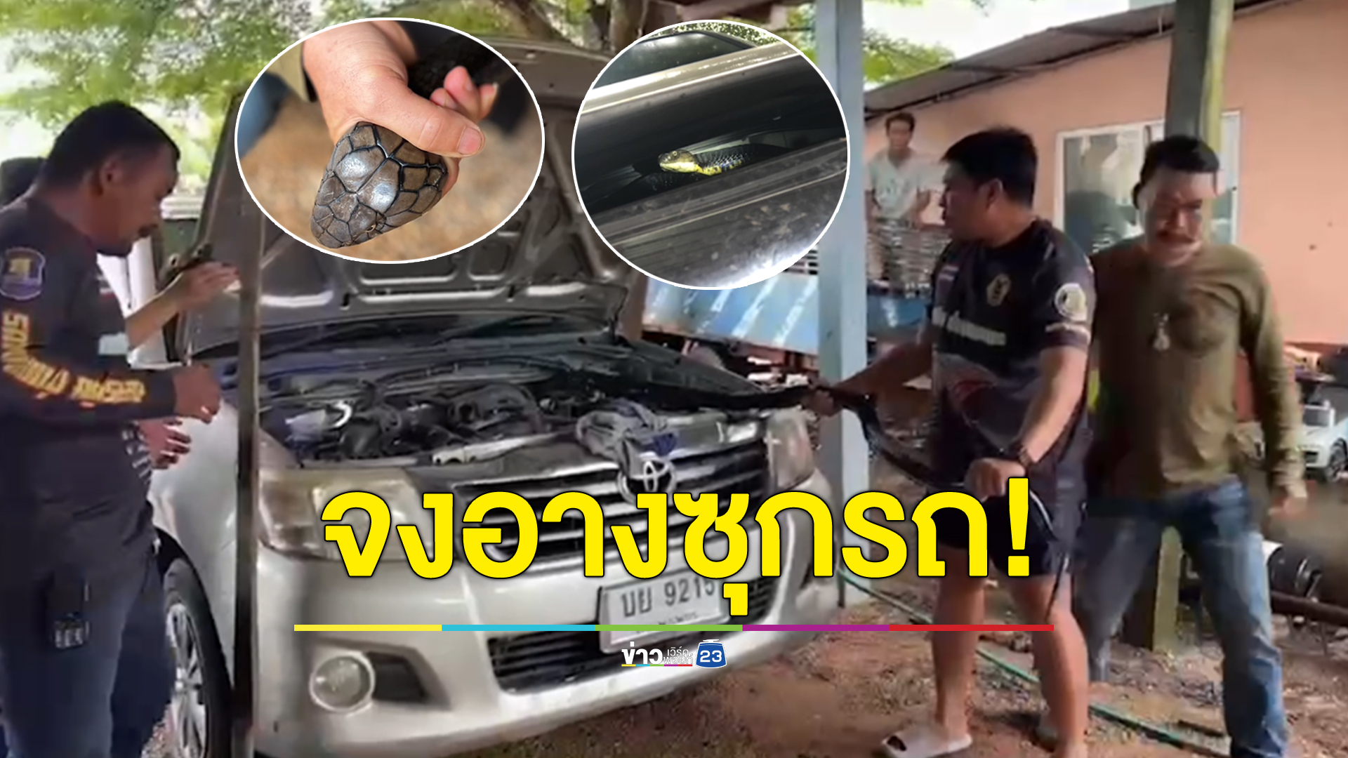 ระดมทีมจับงูจงอาง เลื้อยเข้าฝากระโปรงรถกระบะ