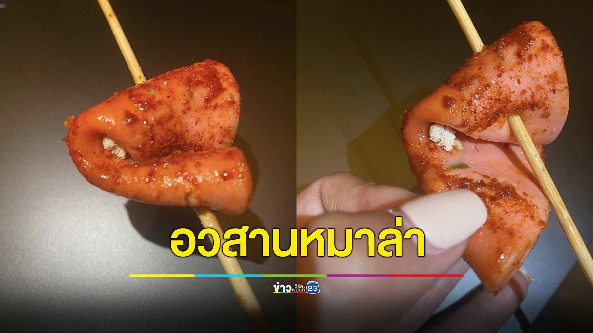 อวสานหมาล่า ไข่แมลงวันมาทั้งฟาร์ม
