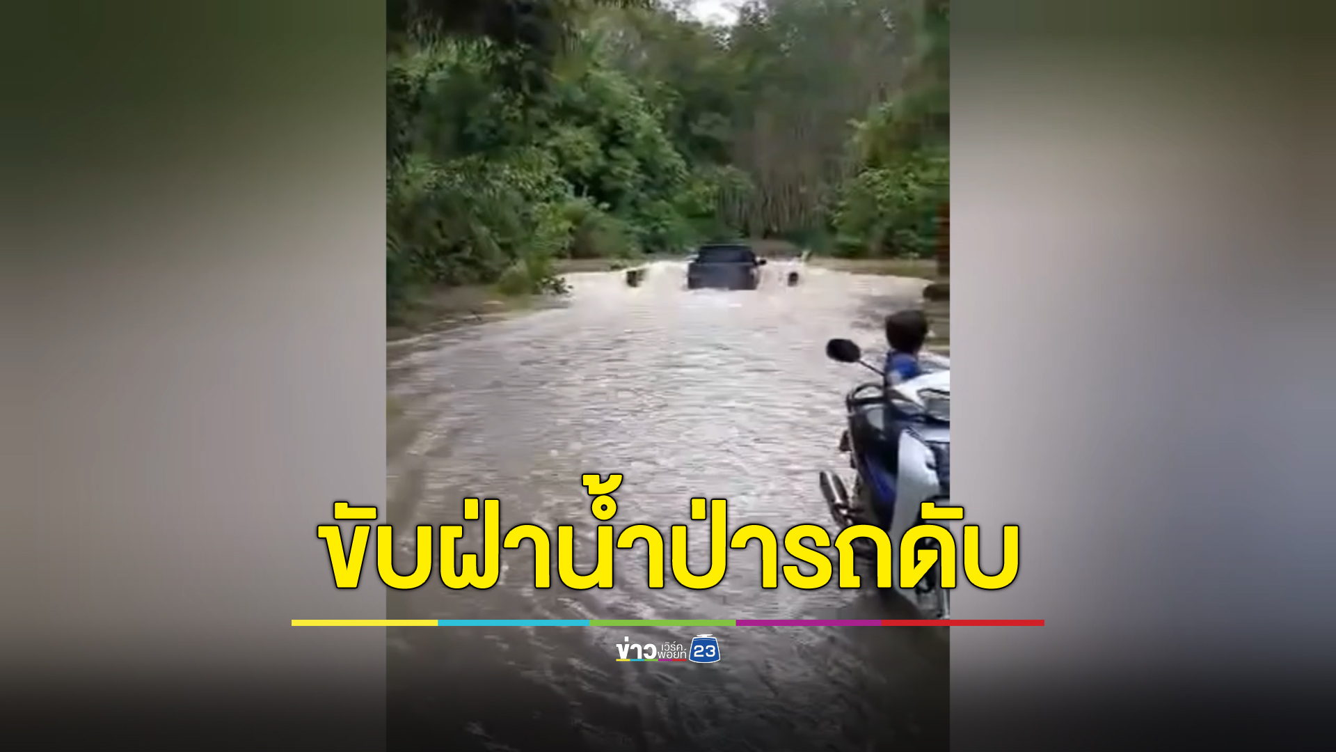 เกือบไปแล้ว ระทึกเจ้าของสวนทุเรียนขับรถข้ามสะพานฝ่าน้ำท่วม ชาวเตือนไม่เชื่อ สุดท้ายรถเกิดดับกลางสะพาน